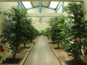 Baantonsai Garden Resort