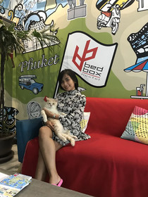Bedbox Guesthouse And Hostel
