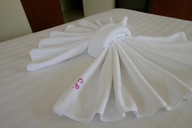 Calypso Patong Hotel