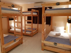 Dfeel Hostel