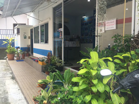 Dreams Guesthouse & Hostel Patong