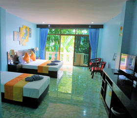 DS Villa