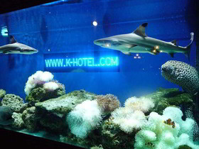 Lokal Phuket