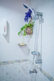 Menulis Coolly House Patong