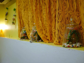 Menulis Coolly House Patong