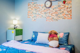 Menulis Coolly House Patong