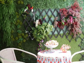 Menulis Coolly House Patong