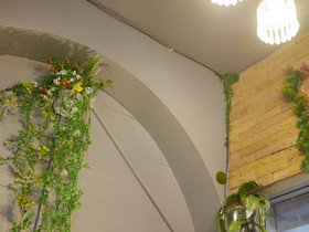 Menulis Coolly House Patong