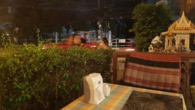 MVC Patong House