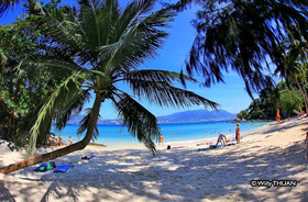 myPatong GuestHouse-Hostel