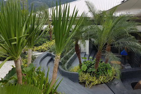 Journey Express Phuket