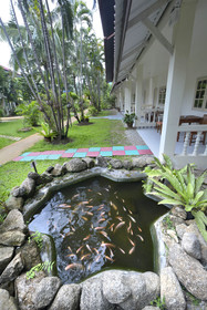 Patong Palace