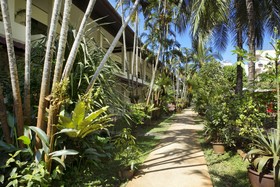 Patong Palace