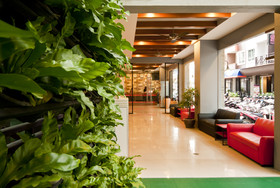 PJ Patong Resortel