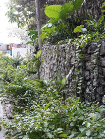 Porter House Patong