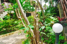 Swiss Palm Beach