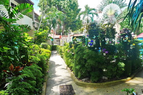 Swiss Palm Beach