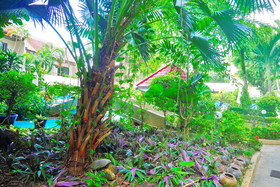 Swiss Palm Beach