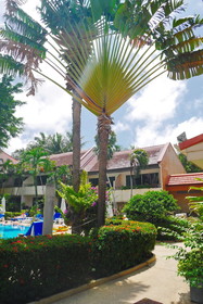 Swiss Palm Beach