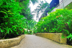 Swiss Palm Beach