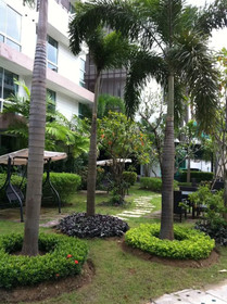 The Kris Condo Pool Access