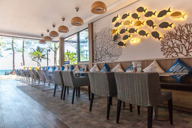 The Royal Palm Beach Front