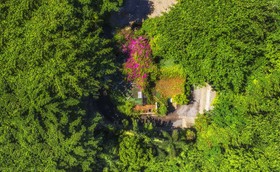 Tropica Bungalows
