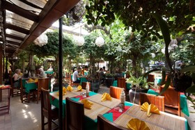 Tropica Bungalows