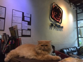 Ai Phuket Hostel