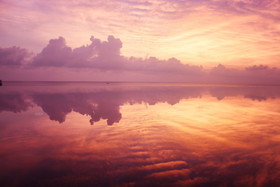 Ayara Kamala Resort & Spa