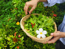 Ayara Kamala Resort & Spa