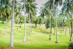 Ban Raya Resort & Spa