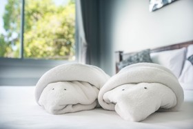 Beehive Phuket Old Town - Hostel