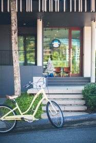 Blu Monkey Bed & Breakfast