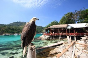 Bungalow Raya Resort