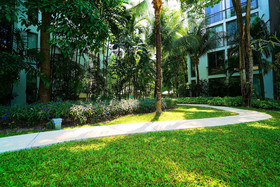 Casuarina Shores