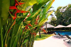 Casuarina Shores