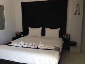 Cat Story Hotel