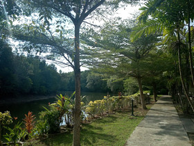 Chaiyo Resort
