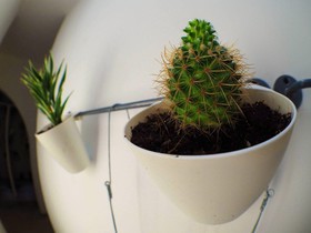 Chino Town Gallery Hostel