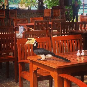 Coral Island Resort