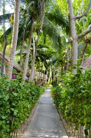 Coral Island Resort
