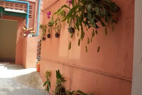 D's Corner & Guesthouse