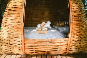 Elephant Jungle Sanctuary