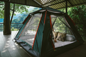 Elephant Jungle Sanctuary