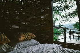 Elephant Jungle Sanctuary