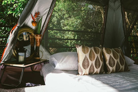 Elephant Jungle Sanctuary