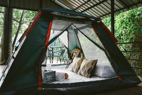 Elephant Jungle Sanctuary