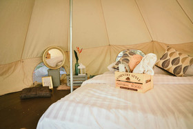 Elephant Jungle Sanctuary