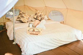 Elephant Jungle Sanctuary